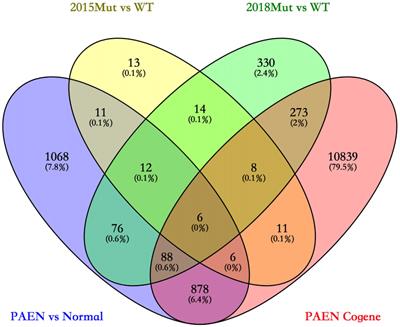 Five Novel Genes Related to the Pathogenesis and Progression of Pancreatic Neuroendocrine Tumors by Bioinformatics Analysis With RT-qPCR Verification